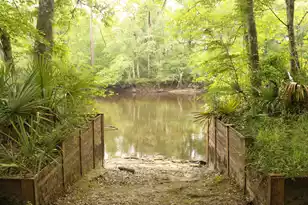 5451 Wire Rd, Branchville, SC 29432 - Photo 2
