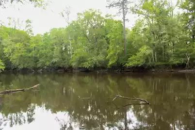 5451 Wire Road, Branchville, SC 29432 - Photo 28