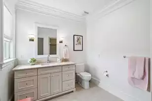 224 Furman Farm Pl, Daniel Island, SC 29492 - Photo 62