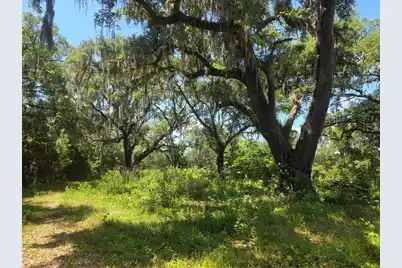 0 Capital Road, Jacksonboro, SC 29452 - Photo 6