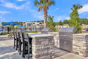 301 Black Birch Dr, Summerville, SC 29486 - Photo 52