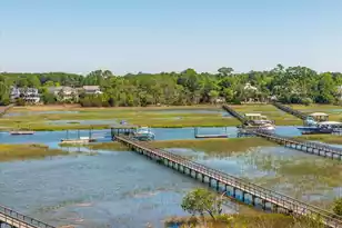 2678 Egrets Landing Ct, Mount Pleasant, SC 29466 - Photo 66