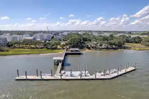 1063 Barfield St, Charleston, SC 29492 - Photo 52
