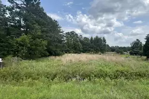 135 Avacodo Dr, Santee, SC 29142 - Photo 1
