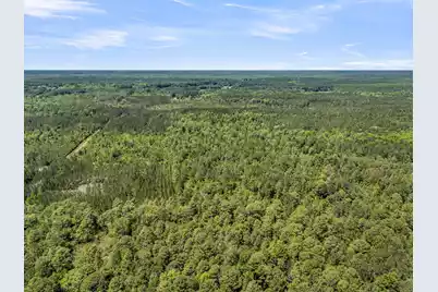 0 Deas Hill Road, McClellanville, SC 29458 - Photo 12