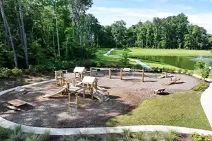 503 Tulip Poplar Dr, Moncks Corner, SC 29461 - Photo 16