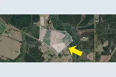 0 A Mt Carmel Road, Walterboro, SC 29488 - Photo 1