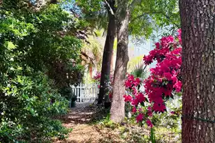 1520 Faith St, Mount Pleasant, SC 29466 - Photo 56