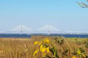 562 Fort Johnson Rd, Charleston, SC 29412 - Photo 56
