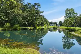 442 Sun Valley Ln, Moncks Corner, SC 29461 - Photo 46