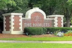 763 Hamlet Cir, Goose Creek, SC 29445 - Photo 54