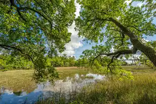 130 River Landing Dr, Charleston, SC 29492 - Photo 46