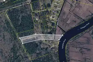 192 Lazy Bee Ln, Green Pond, SC 29446 - Photo 60