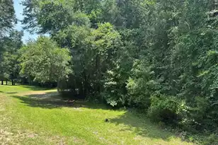 2858 Woodland Park Dr, Mount Pleasant, SC 29466 - Photo 46