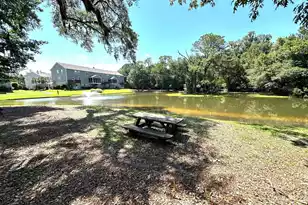 2858 Woodland Park Dr, Mount Pleasant, SC 29466 - Photo 56