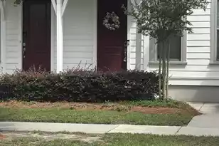 224 Oak Park St, Summerville, SC 29486 - Photo 2