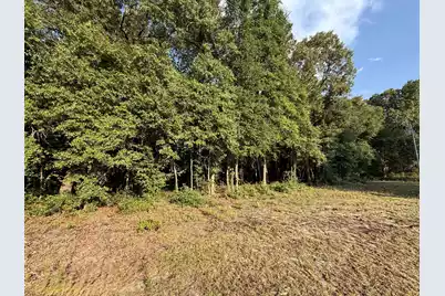 100 Triangle Drive, Summerton, SC 29148 - Photo 2