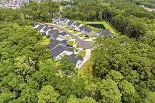 55 Red Blf St, Summerville, SC 29483 - Photo 44