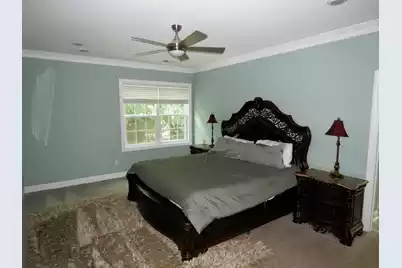 271 Sago Palm Drive, Orangeburg, SC 29118 - Photo 12