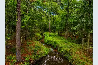 746 Wilson Cemetery Road, Awendaw, SC 29429 - Photo 2