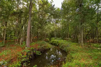 746 Wilson Cemetery Road, Awendaw, SC 29429 - Photo 4