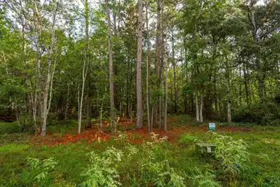 736 Wilson Cemetery Road, Awendaw, SC 29429 - Photo 4