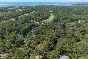 3202 Wood Duck Pl, Seabrook Island, SC 29455 - Photo 48