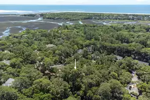 3202 Wood Duck Pl, Seabrook Island, SC 29455 - Photo 50