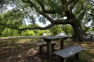 194 High Hammock Villas, Seabrook Island, SC 29455 - Photo 68