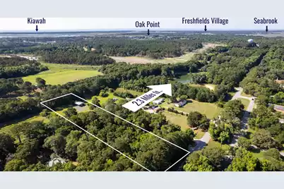 3993 Betsy Kerrison Parkway, Johns Island, SC 29455 - Photo 1