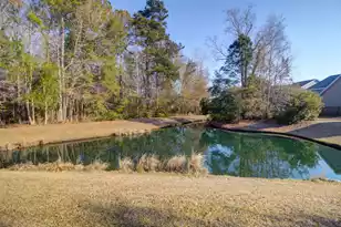 1756 Batten Dr, Charleston, SC 29414 - Photo 36