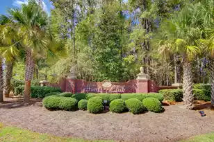 1151 Quick Rabbit Loop, Charleston, SC 29414 - Photo 66