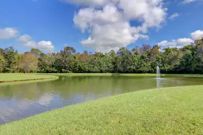 1151 Quick Rabbit Loop, Charleston, SC 29414 - Photo 72