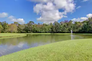 1151 Quick Rabbit Loop, Charleston, SC 29414 - Photo 72