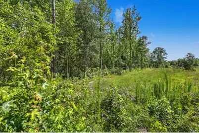 V/L Edmarie Lane, Holly Hill, SC 29059 - Photo 12