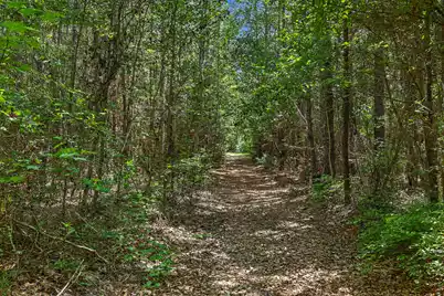 V/L Edmarie Lane, Holly Hill, SC 29059 - Photo 10