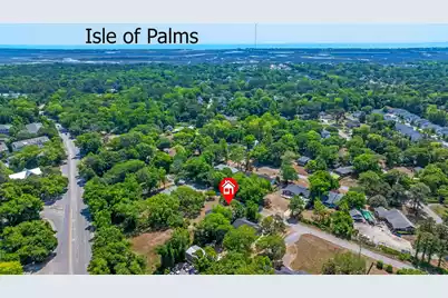 1234 Melvin Bennett Road, Mount Pleasant, SC 29464 - Photo 46