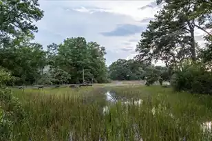 1291 Barksdale Road S, Mount Pleasant, SC 29464 - Photo 8