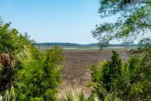 717 Bounty Square Dr, Charleston, SC 29492 - Photo 26