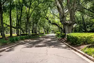 1080 Deleisseline Blvd, Mount Pleasant, SC 29464 - Photo 24