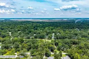 1080 Deleisseline Blvd, Mount Pleasant, SC 29464 - Photo 56