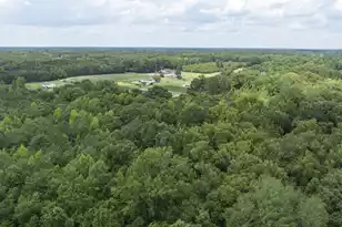 1 Joseph Lemon and Dingle Rd, Manning, SC 29102 - Photo 22