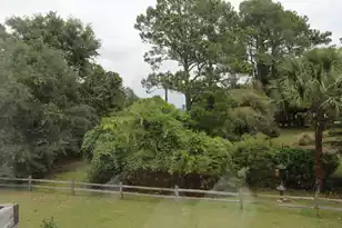 1802 Hopeman Ln, Mount Pleasant, SC 29466 - Photo 34
