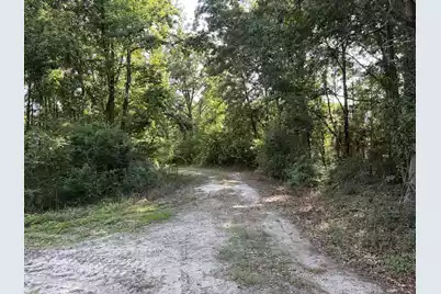 0 Reevesville, Reevesville, SC 29471 - Photo 1