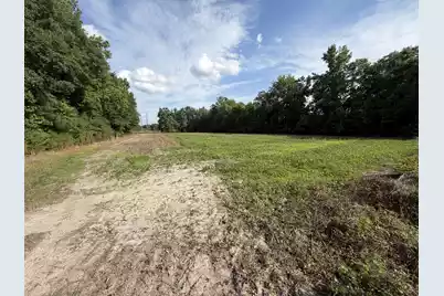 0 Reevesville, Reevesville, SC 29471 - Photo 6