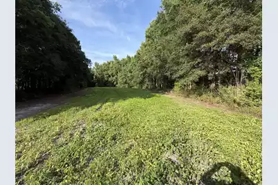 0 Reevesville, Reevesville, SC 29471 - Photo 4
