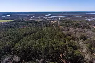 0 Legareville Road #Lot 9, Johns Island, SC 29455 - Photo 1