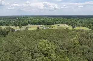 2 Joseph Lemon & Dingle Rd, Manning, SC 29102 - Photo 20
