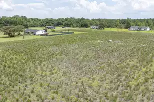 2 Joseph Lemon & Dingle Rd, Manning, SC 29102 - Photo 2
