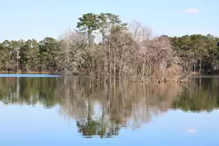 1070 Lettered Olive Ln, Summerville, SC 29485 - Photo 26
